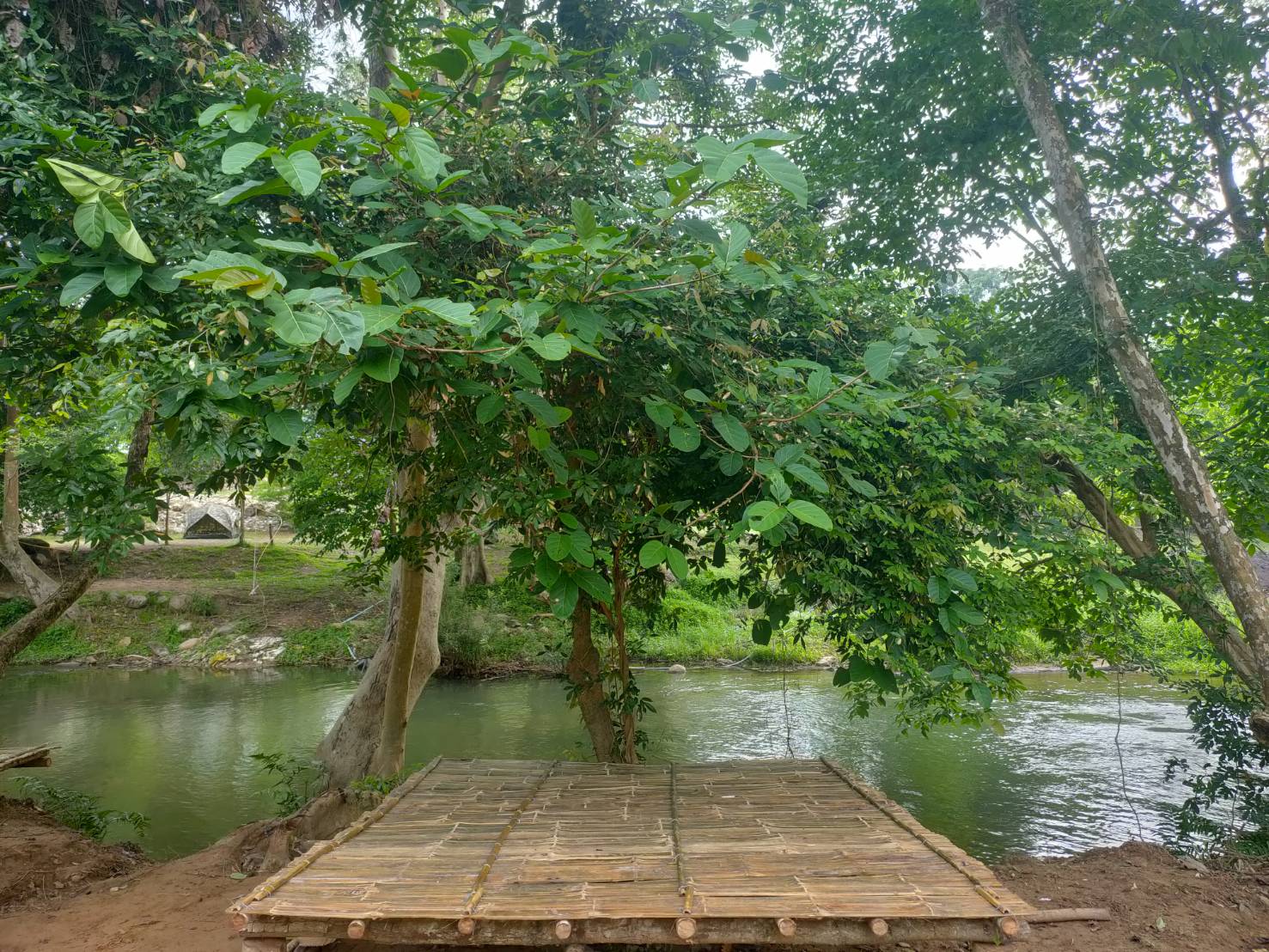 รูป มาแคมป์ @สวนผึ้ง กางเต็นท์-เล่นน้ำ Ma Camp @Suan Phueng