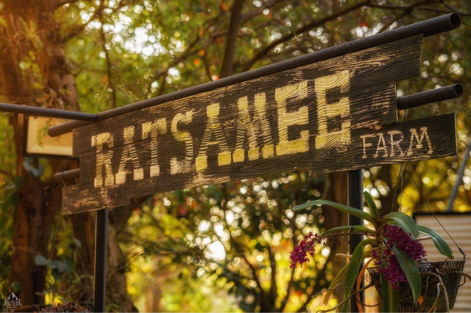 รูป [สำหรับช่วงงาน ริมผา Rimpha Music Festival - 2024] Ratsamee FARM รัศมีฟาร์ม