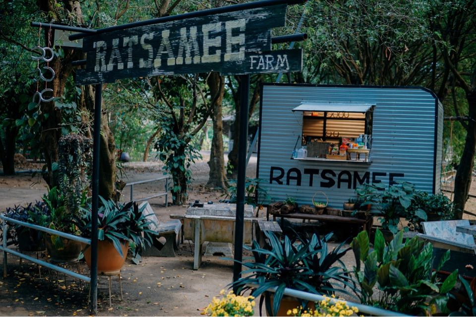 รูป [สำหรับช่วงงาน ริมผา Rimpha Music Festival - 2024] Ratsamee FARM รัศมีฟาร์ม