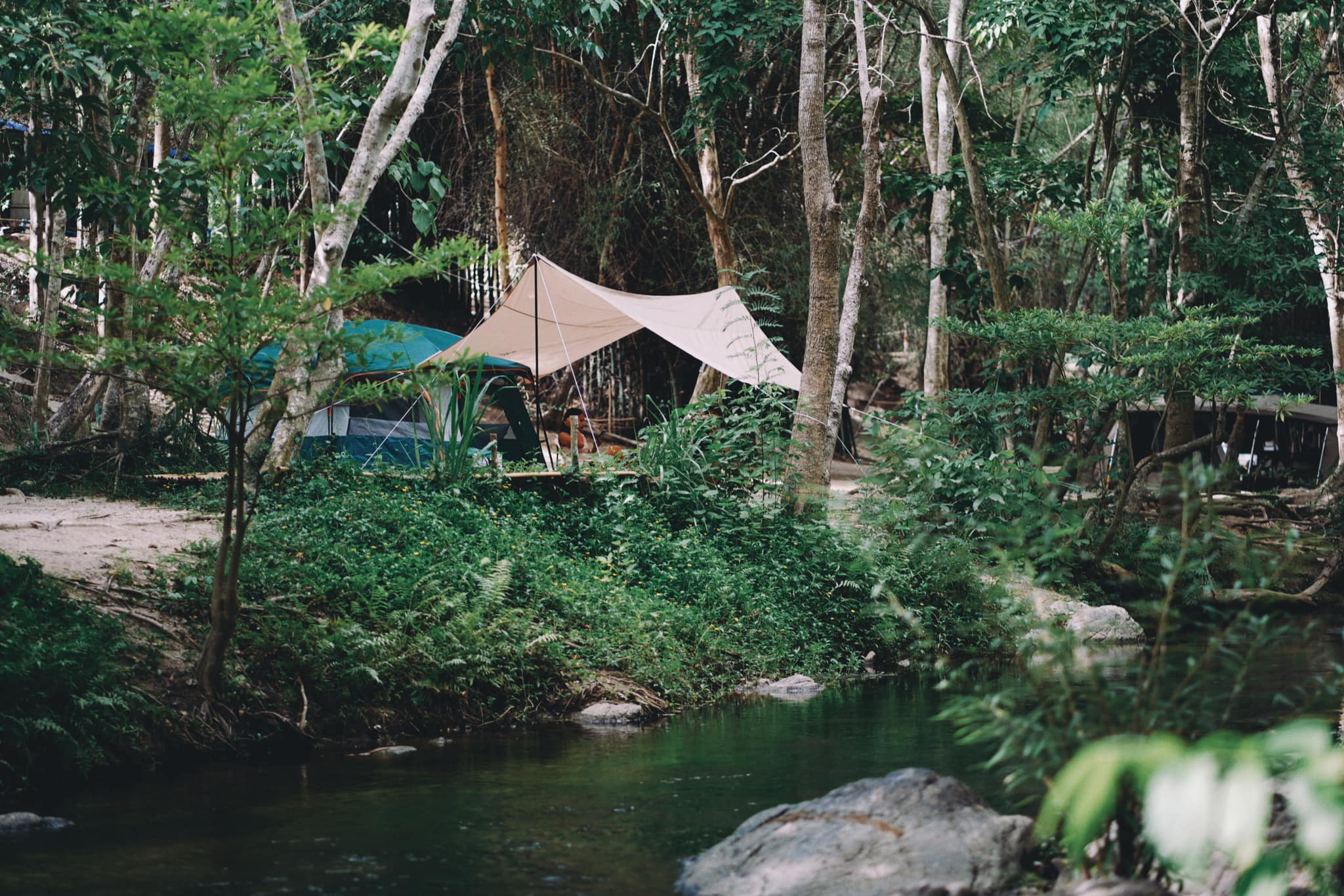รูป The Nature Camp