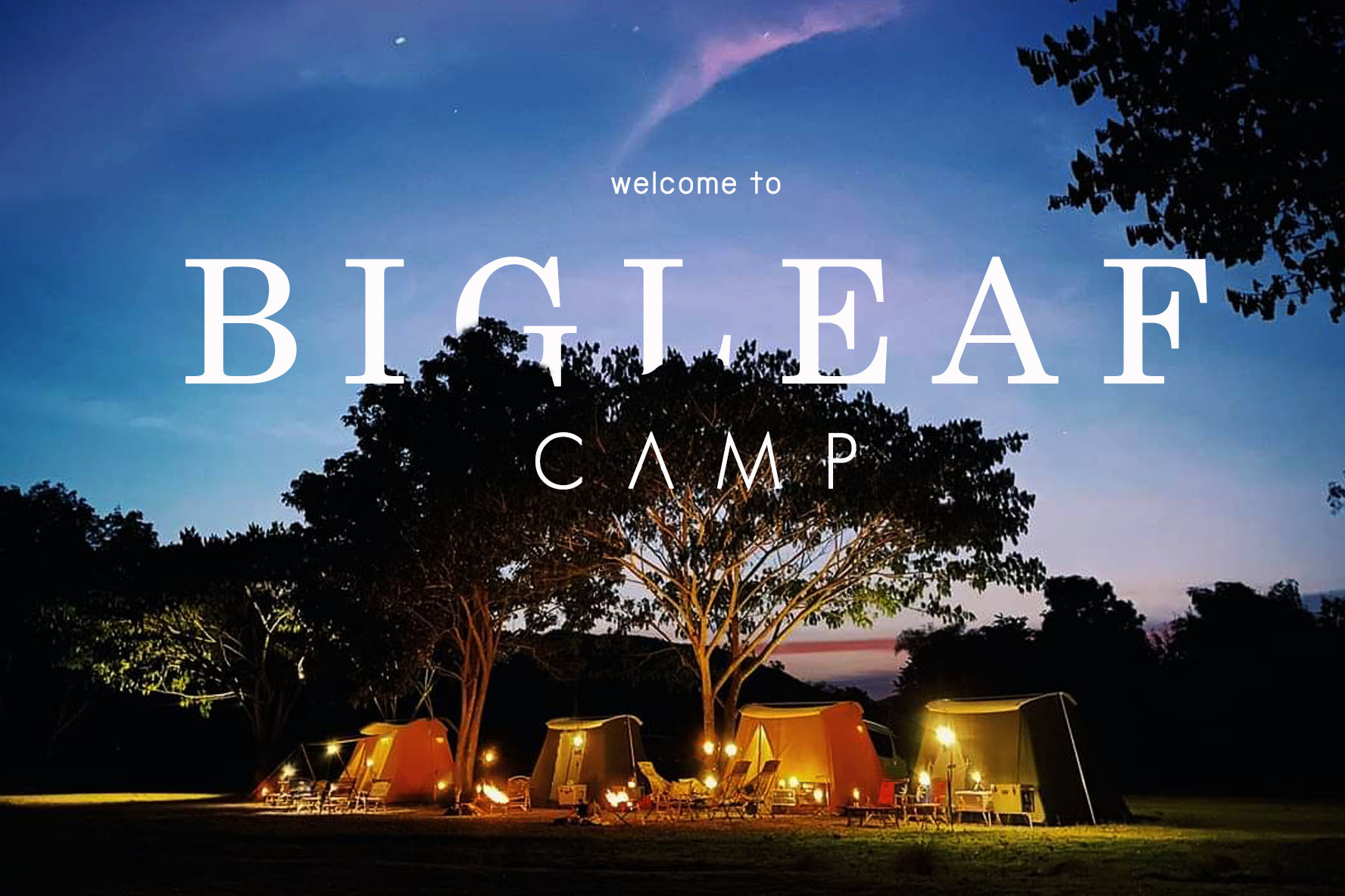 รูป BigLeaf Camp
